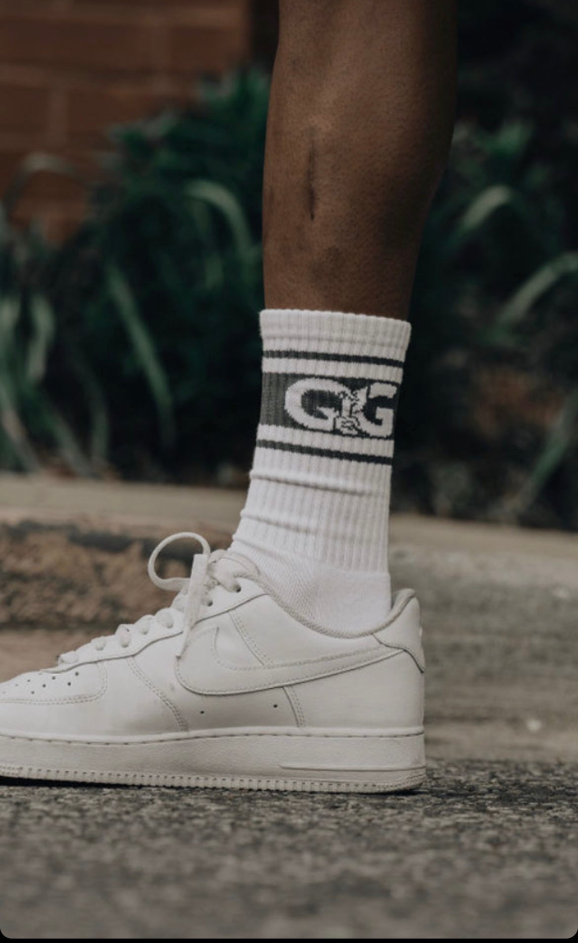 Signature Logo Sock Variety Pack